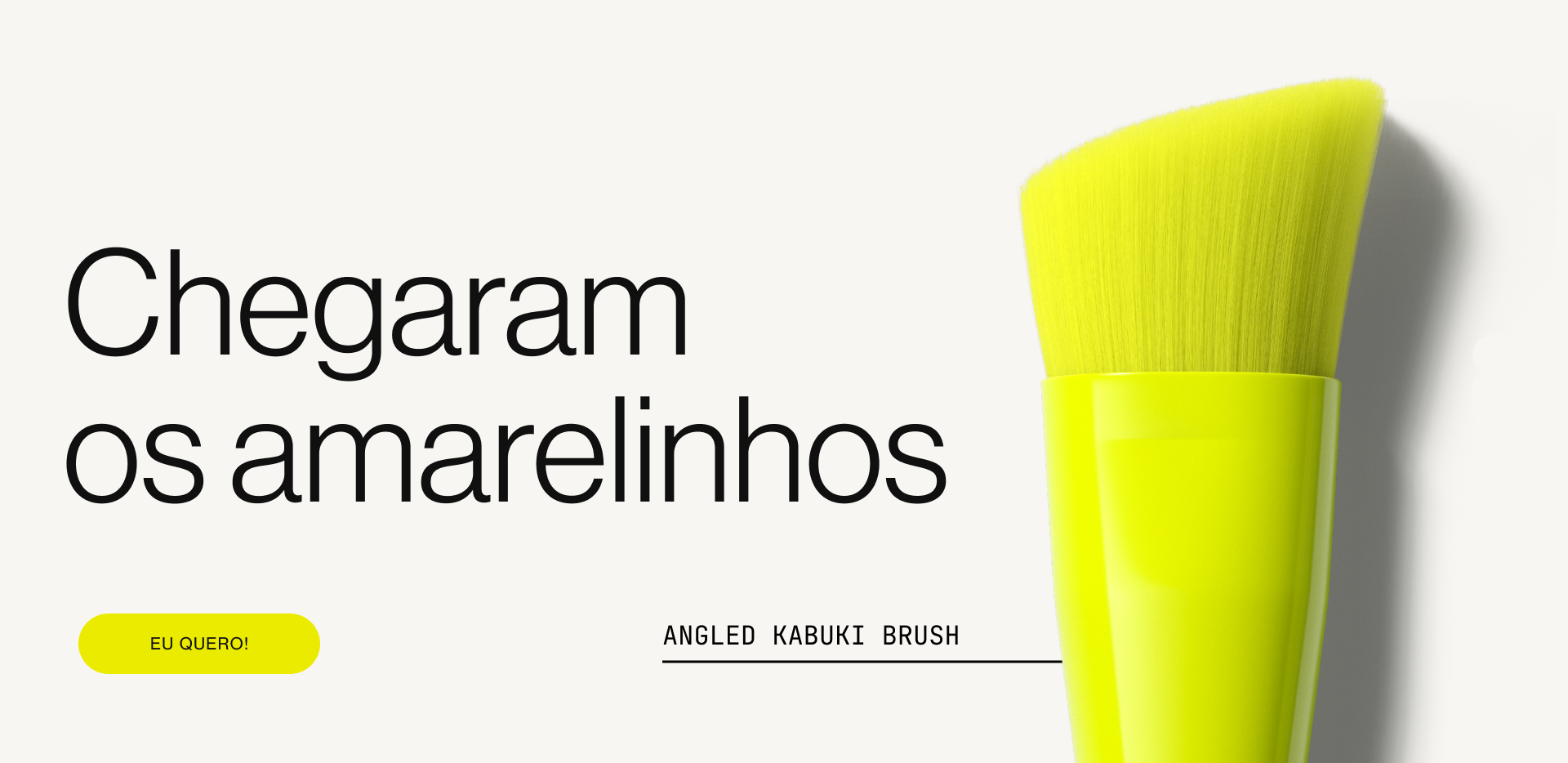 bts-banner-pinceis-03